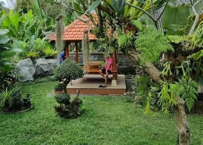 D Sari Wooden House